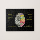 Suche nach gehirn puzzle Bildung