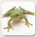 Suche nach grüner frosch untersetzer Niedlich