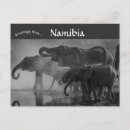 Suche nach etosha postkarten Tierwelt