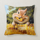 Suche nach mais kissen Lustig