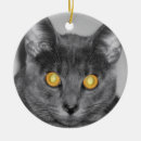 Suche nach katzenaugen ornamente Kitty