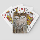 Suche nach bubo virginianus Superstock