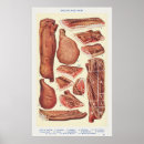Suche nach bacon poster Illustration