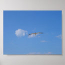 Suche nach möven poster Himmel
