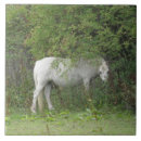 Suche nach vieh fliesen Pferd