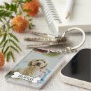 Suche nach foto oder text accessoires Hund