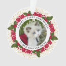 Suche nach christmas cat ornamente Bild