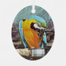 Suche nach ara ornamente Vögel