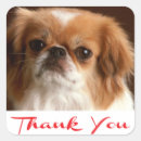 Suche nach pekingese aufkleber Hund