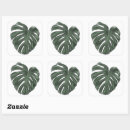 Suche nach monstera aufkleber Natur