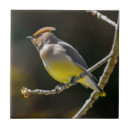 Suche nach bird fliesen Vogelvogel