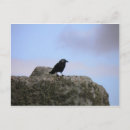 Suche nach henge postkarten Natur