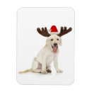 Suche nach geweihe magnete Weihnachten