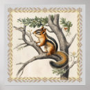 Suche nach chipmunk poster Wald