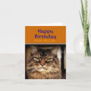 Suche nach mürrische katze karten Süß