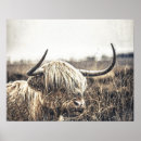 Suche nach rinde poster Modern