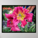 Suche nach taglilien poster Flora