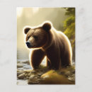 Suche nach wildlife postkarten Braunbär