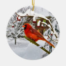 Suche nach vogel im baum ornamente Schneeflocken