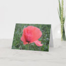 Suche nach mohnblume karten Rot