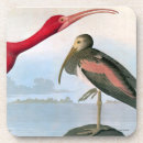 Suche nach john james audubon untersetzer Vogelgrafik