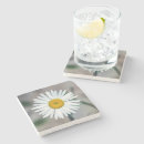 Suche nach gänseblümchen untersetzer Blume