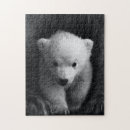 Suche nach weißer und schwarzer bär puzzle Bären