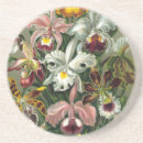 Suche nach orchid untersetzer Schön