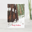 Suche nach sequoia karten Kalifornien