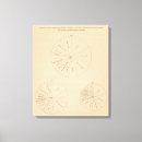 Suche nach torten poster leinwandbilder Lithographiert