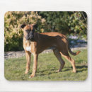 Suche nach kitz mousepads Hund