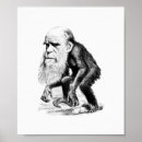 Suche nach darwin poster Ape