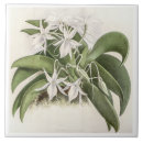 Suche nach vintage blumen fliesen Botanisch