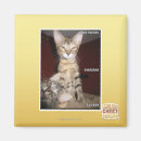 Suche nach idioten magnete Ich kann habe cheezburger