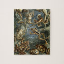 Suche nach toad puzzle Amphibien