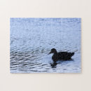 Suche nach enten puzzle Vogel