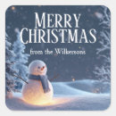 Suche nach winternacht Schneemann
