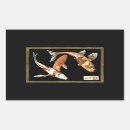 Suche nach koi aufkleber Goldfisch