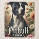 Suche nach pitbull decken Pillendecke