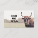 Suche nach vintage kuh visitenkarten Ranch