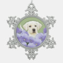 Suche nach labrador retriever ornamente Welpe