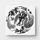 Suche nach drachen fotoplatten Darstellung