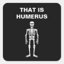 Suche nach anatomie aufkleber Humerus