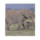 Suche nach afrikanischer elefant notizblock Natur
