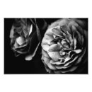 Suche nach liebe abstrakt poster Blume