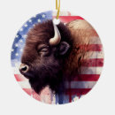 Suche nach usa flagge ornamente Vereinte staaten