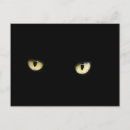 Suche nach eyes Katze