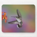 Suche nach im flug mousepads Adam jones