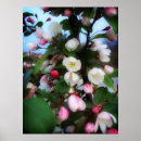 Suche nach cherry poster Baum