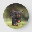 Suche nach hund wanduhren Natur